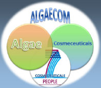 algaecom_site001005.jpg